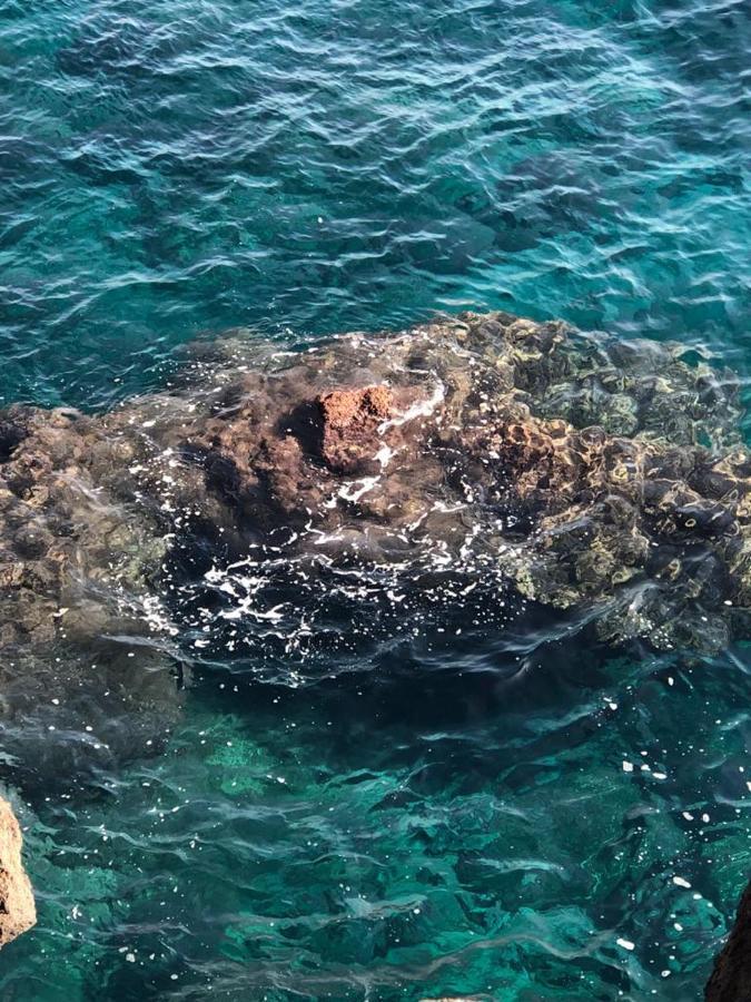 Le Tre Meraviglie A 200 M Dal Mare كاتانيا المظهر الخارجي الصورة